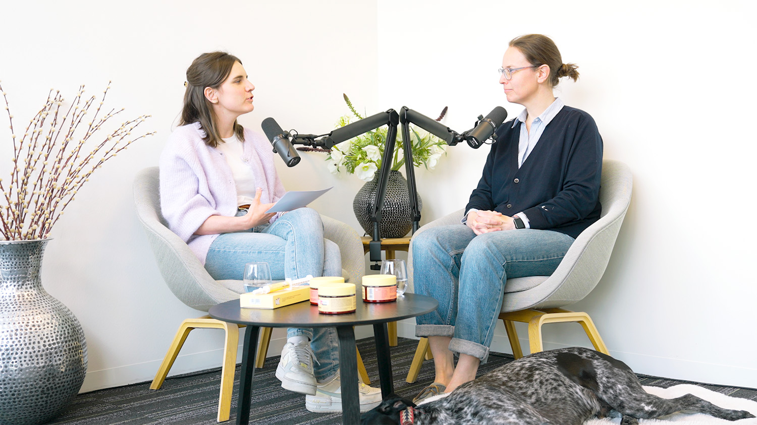 Videopodcast